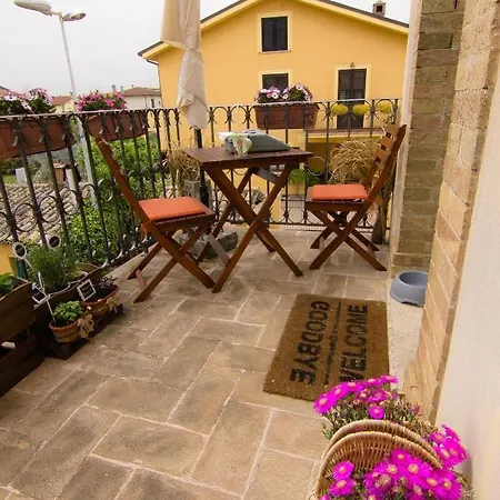 Palma Gold Spello