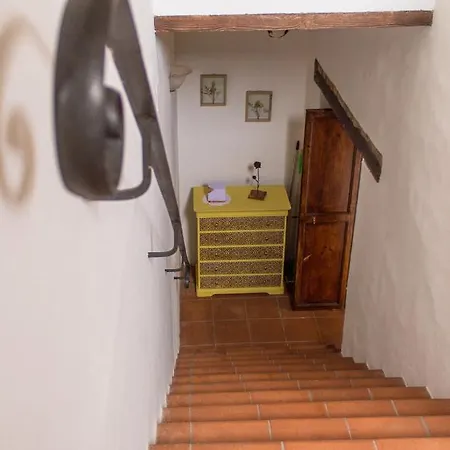 Apartment Palma Gold